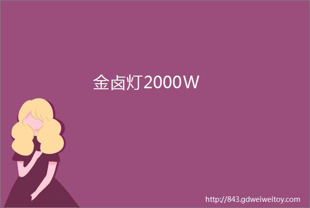 金卤灯2000W