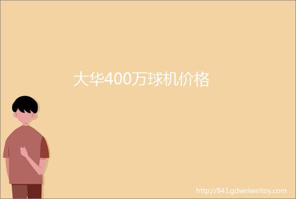 大华400万球机价格